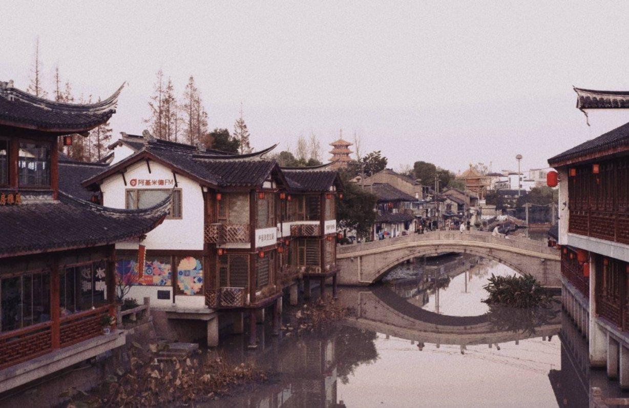 动物帮帮忙保卫家园